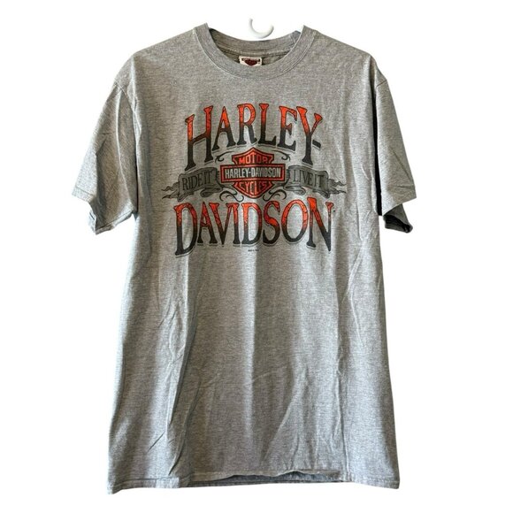 Harley Davidson Dublin Ireland T-Shirt Size Large Gray 2015 Beefy T Cotton Blend - Picture 1 of 10